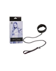 Nocturnal Collection Detachable Collar & Leash - Black